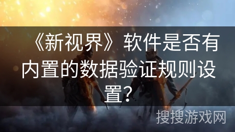 《新视界》软件是否有内置的数据验证规则设置？