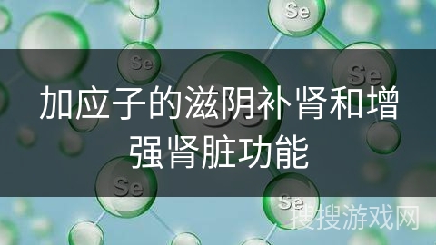 加应子的滋阴补肾和增强肾脏功能 加应子的滋阴补肾和增强肾脏功能