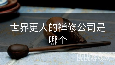 世界更大的禅修公司是哪个