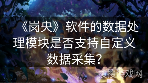 《岗央》软件的数据处理模块是否支持自定义数据采集？