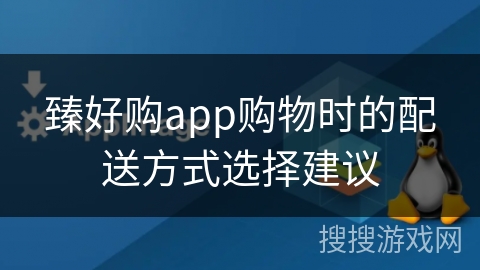 臻好购app购物时的配送方式选择建议