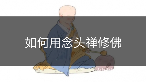 如何用念头禅修佛