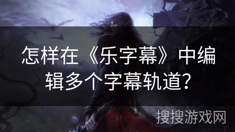 怎样在《乐字幕》中编辑多个字幕轨道？