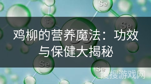 鸡柳的营养魔法：功效与保健大揭秘