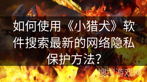 如何使用《小猎犬》软件搜索最新的网络隐私保护方法？