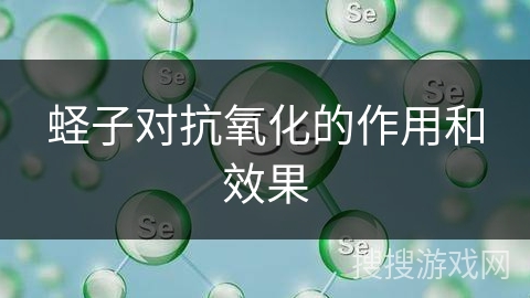 蛏子对抗氧化的作用和效果