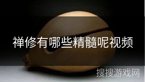 禅修有哪些精髓呢视频