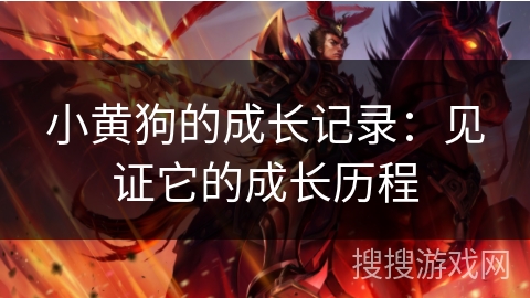 小黄狗的成长记录：见证它的成长历程