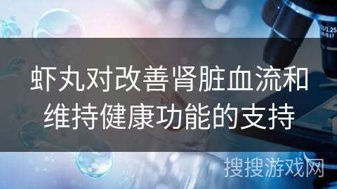 虾丸对改善肾脏血流和维持健康功能的支持