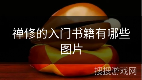 禅修的入门书籍有哪些图片