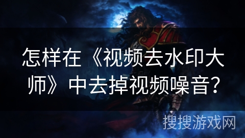 怎样在《视频去水印大师》中去掉视频噪音？