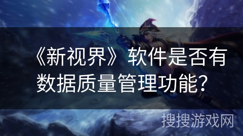 《新视界》软件是否有数据质量管理功能？