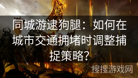 同城游逮狗腿：如何在城市交通拥堵时调整捕捉策略？