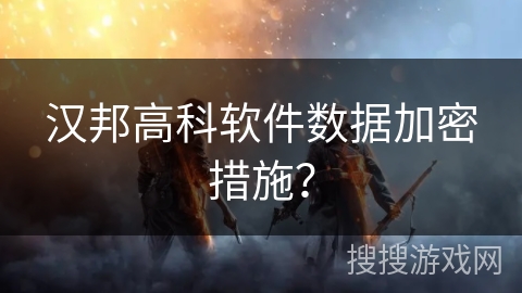 汉邦高科软件数据加密措施？