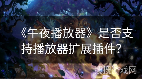 《午夜播放器》是否支持播放器扩展插件？