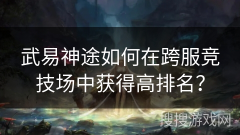 武易神途如何在跨服竞技场中获得高排名？
