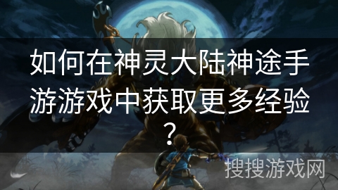 如何在神灵大陆神途手游游戏中获取更多经验？
