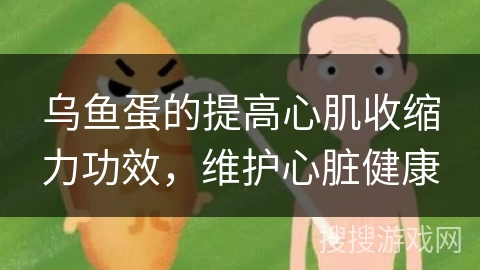 乌鱼蛋的提高心肌收缩力功效，维护心脏健康