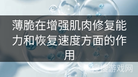 薄脆在增强肌肉修复能力和恢复速度方面的作用