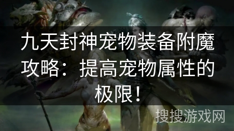 九天封神宠物装备附魔攻略：提高宠物属性的极限！