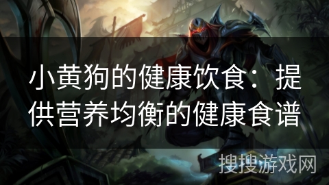 小黄狗的健康饮食：提供营养均衡的健康食谱