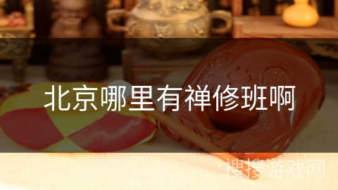 北京哪里有禅修班啊