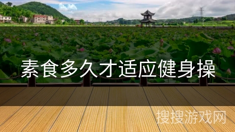 素食多久才适应健身操