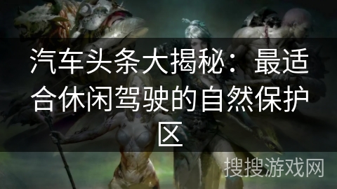 汽车头条大揭秘：最适合休闲驾驶的自然保护区