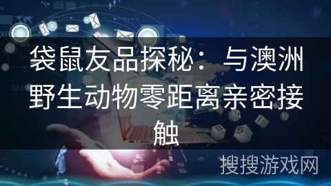 袋鼠友品探秘：与澳洲野生动物零距离亲密接触