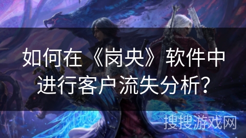 如何在《岗央》软件中进行客户流失分析？