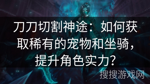 刀刀切割神途：如何获取稀有的宠物和坐骑，提升角色实力？