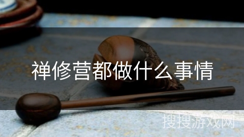 禅修营都做什么事情