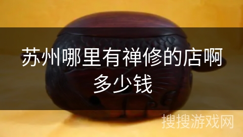 苏州哪里有禅修的店啊多少钱