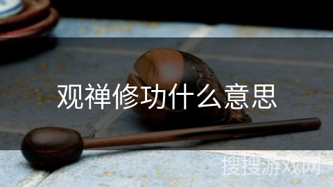 观禅修功什么意思