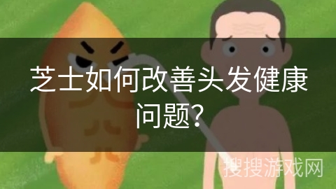 芝士如何改善头发健康问题？