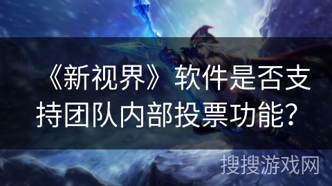 《新视界》软件是否支持团队内部投票功能？