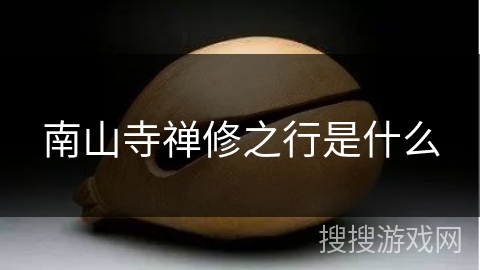 南山寺禅修之行是什么