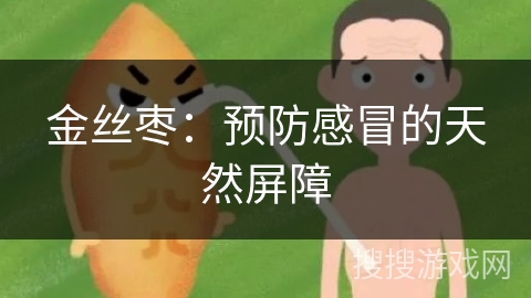 金丝枣：预防感冒的天然屏障