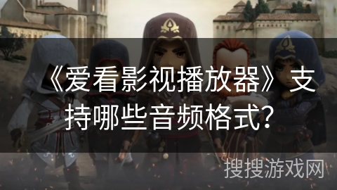 《爱看影视播放器》支持哪些音频格式？