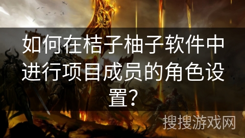 如何在桔子柚子软件中进行项目成员的角色设置? 如何在桔子柚子软件中进行项目成员的角色设置?