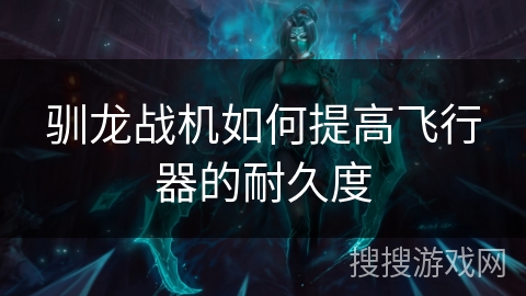 驯龙战机如何提高飞行器的耐久度