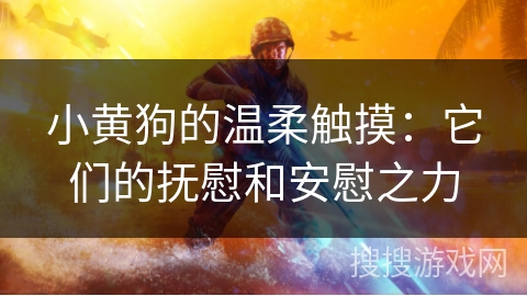 小黄狗的温柔触摸:它们的抚慰和安慰之力 小黄狗的温柔触摸:它们的抚慰和安慰之力