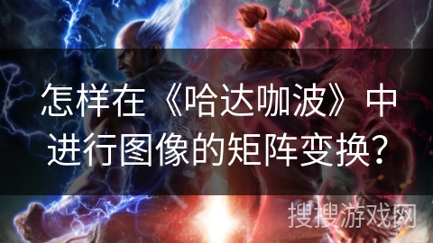 怎样在《哈达咖波》中进行图像的矩阵变换？