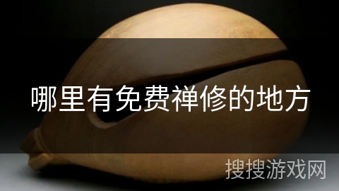 哪里有免费禅修的地方 哪里有免费禅修的地方