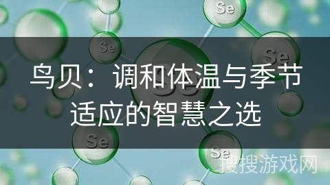 鸟贝:调和体温与季节适应的智慧之选 鸟贝:调和体温与季节适应的智慧之选