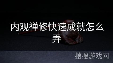 内观禅修快速成就怎么弄