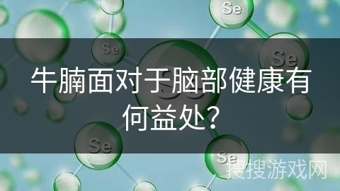 牛腩面对于脑部健康有何益处？