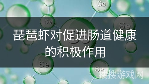 琵琶虾对促进肠道健康的积极作用