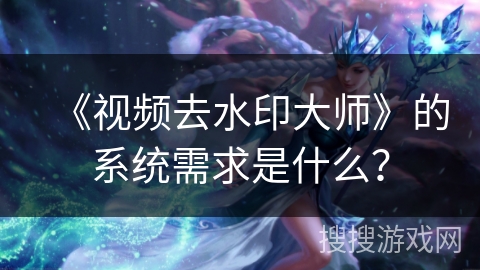 《视频去水印大师》的系统需求是什么？