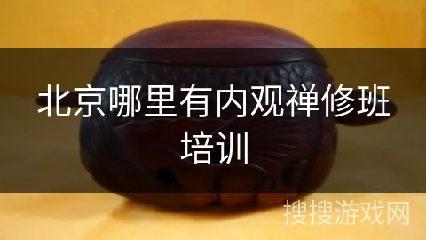 北京哪里有内观禅修班培训